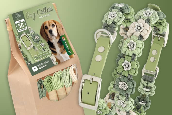 Paracord Hondenhalsband