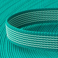 Textile PPM Webbing 'Turquoise' 20 mm With Rubber Tracers