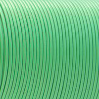 Menthe - HQ Cordon en Cuir 2 mm