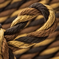 Ebony, Sepia Brown & Old Gold PPM Twisted Rope - Ø 12mm