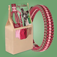 DIY Kit ''Belle Rose'' - Collar for smaller dogs