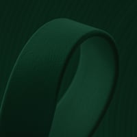 Dark Green (GN522) BioThane 'BETA' ® 13 mm - 2.5 mm Per Meter