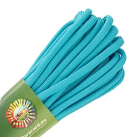 Dark Cyan Paracord 550 Type III - ca. 10 m