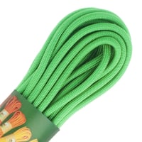 Mint Paracord 550 Type III - ca. 10 m