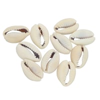 Cowrie Shell Beads - 10 pcs