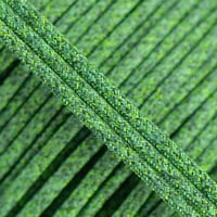 Tree Tops 'Multi Mix' PES Paracord Type III