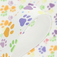 Rainbow Paws BioThane ‘BETA’ ® UV-bedruckt 25 mm - Meterware