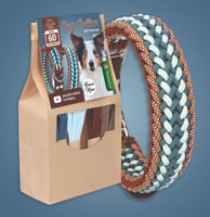 DIY Kit ''Blueberry Brownie'' - Make Your Own Dog Collar - By Le Trecce di Nina