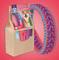 DIY Kit ''Purplelicious'' - Make Your Own Dog Collar