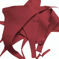 'Rouge' Chutes de Cuir Graissé (750 g - 1 kg)