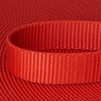 Red 25mm Heavy Webbing