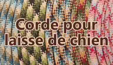 Dogleash Rope Category Banner
