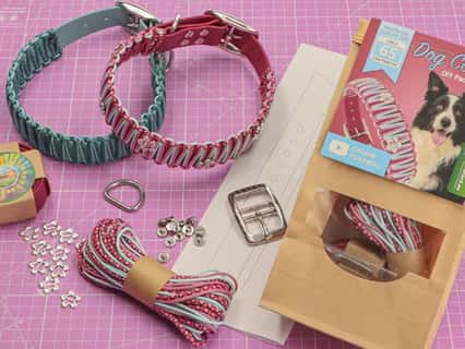 Link to Make a BioThane dog collar with paracord | DIY kit instructions