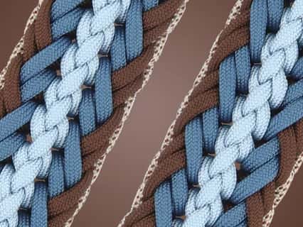 Link to Make the Cambio knot | Tutorial