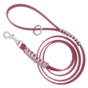 Biothane Laisse de Chien