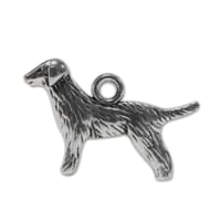 Charme Chien Charme Chien