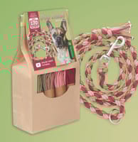 Kit de bricolage ''Watermelon'' - Créez votre propre laisse pour chien