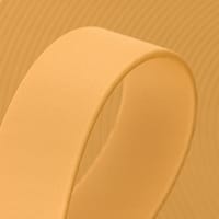 Light Or (GD522)  BioThane 'BETA' ® 9 mm - 2.5 mm Au Mètre