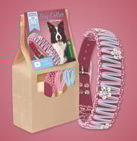 Kit DIY "Hera" - Fabriquez votre propre collier pour chien en BioThane.
