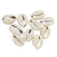 Perle en coquillage cowrie - 10 pcs