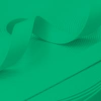 Mint Vert (PT-339) PawTex® Coated Webbing 16 mm Mint Vert (PT-339) PawTex® Coated Webbing 16 mm