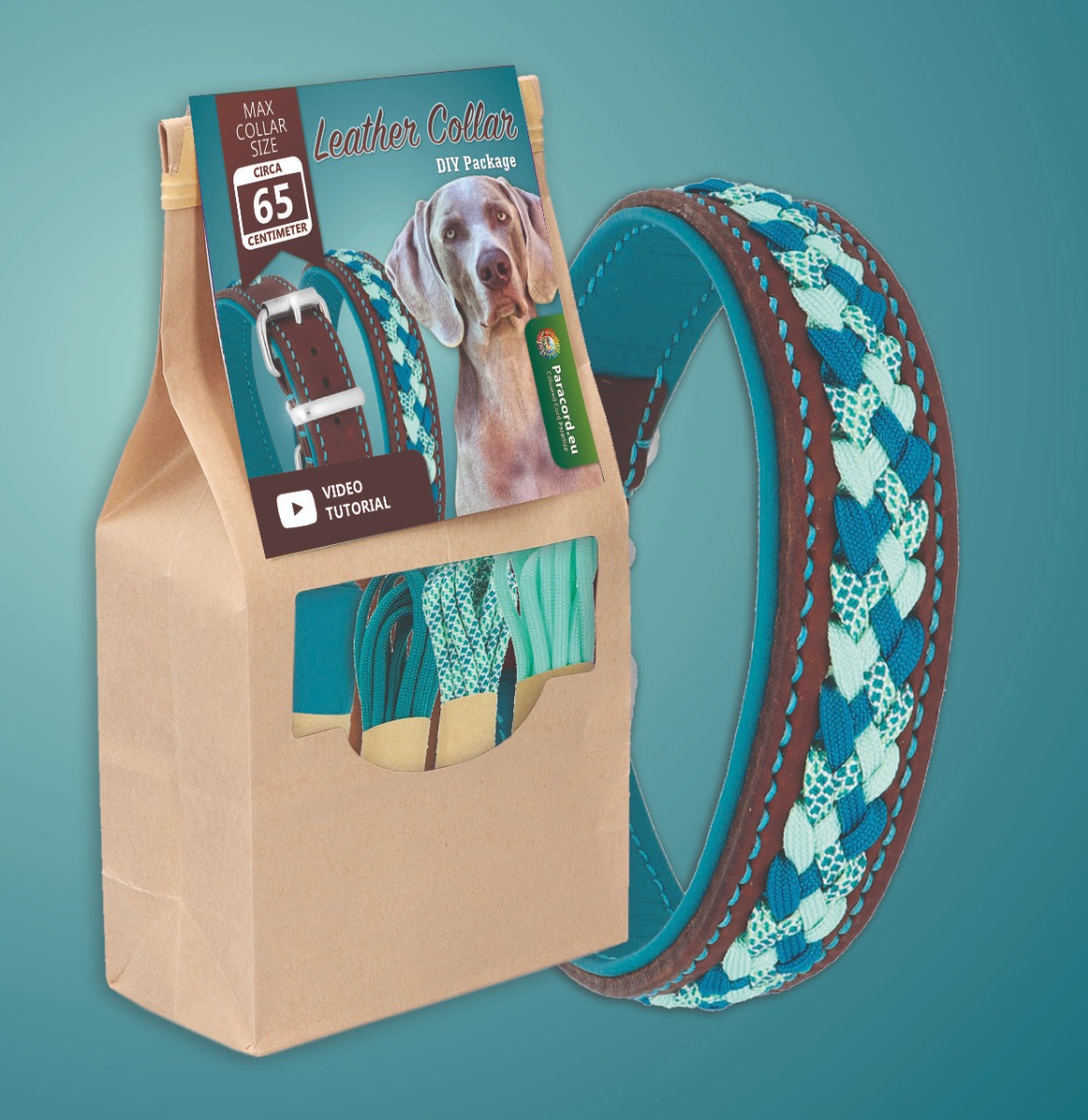 DIY Kit ''Merlin'' Leather Collar With Paracord