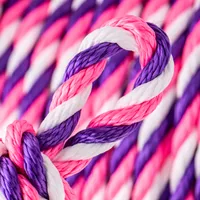 Acid Violet, Rose Néon & Blanc PPM Cordage Torsadé - Ø 12 mm Acid Violet, Rose Néon & Blanc PPM Cordage Torsadé - Ø 12 mm