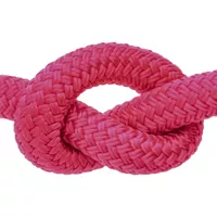 Kranbeere 12 mm Seil - PPM Doppelgeflecht Kranbeere 12 mm Seil - PPM Doppelgeflecht