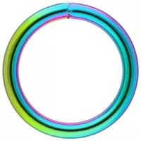 Neo-Chrome 25 x 4 mm O-Ring - 100 Stücke Neo-Chrome 25 x 4 mm O-Ring - 100 Stücke