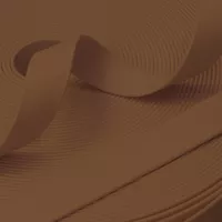 Branch Brown (PT-750) PawTex® Coated Webbing 25 mm Branch Brown (PT-750) PawTex® Coated Webbing 25 mm