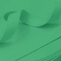 Mint Green (PT-339) PawTex® Coated Webbing 25 mm Mint Green (PT-339) PawTex® Coated Webbing 25 mm