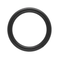 Schwarz Plastic 20 x 4 mm O-Ring Schwarz Plastic 20 x 4 mm O-Ring
