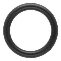 Schwarz Plastic 25 x 4 mm O-Ring Schwarz Plastic 25 x 4 mm O-Ring