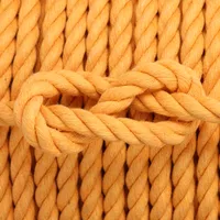 Pumpkin Cotton Twisted Rope - Ø 10 mm Pumpkin Cotton Twisted Rope - Ø 10 mm