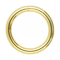 O-Ring Gold 25 x 4 mm O-Ring Gold 25 x 4 mm
