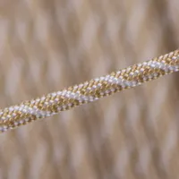 Blanc & Gold - Helix DNA Paracorde Type III Blanc & Gold - Helix DNA Paracorde Type III