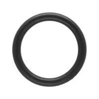 Black Plastic 25 x 4 mm O-Ring Black Plastic 25 x 4 mm O-Ring