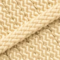 Shiny Gold PPM touw - Ø 8mm. (plat/zonder kern)